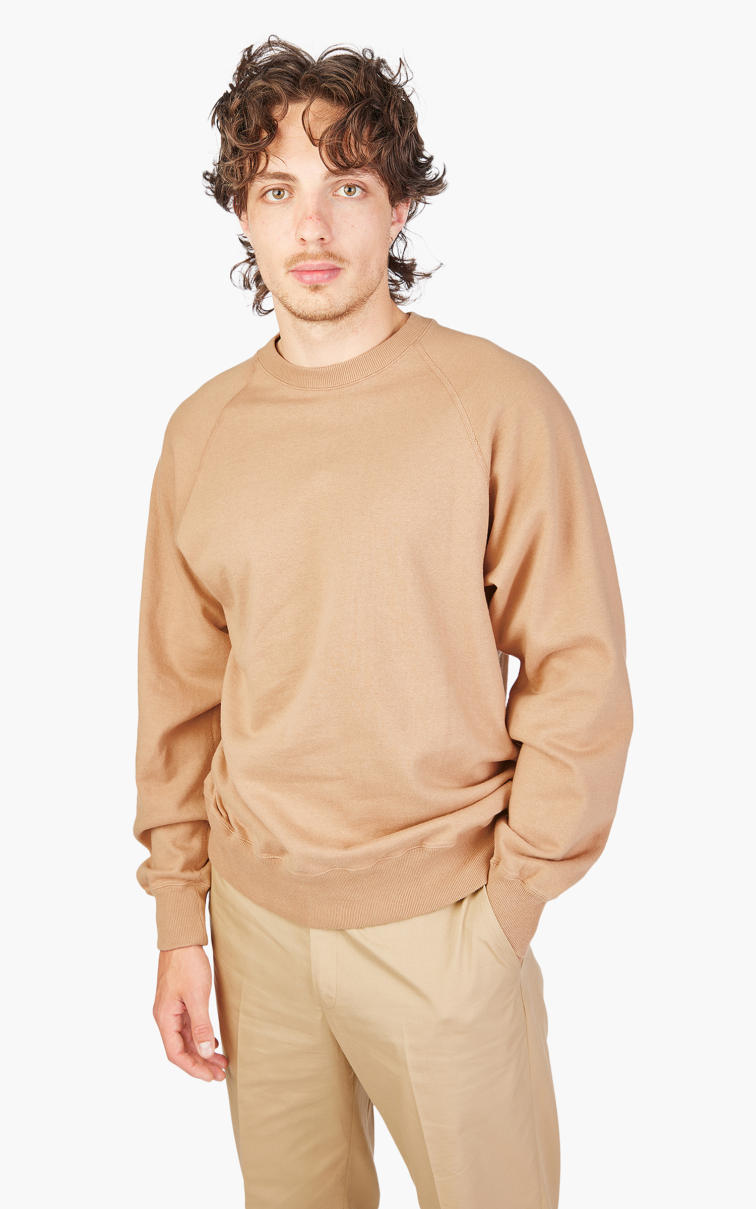 WEB限定カラー Anatomica Sweat Raglan Crew Neck Sand | Cultizm トップス