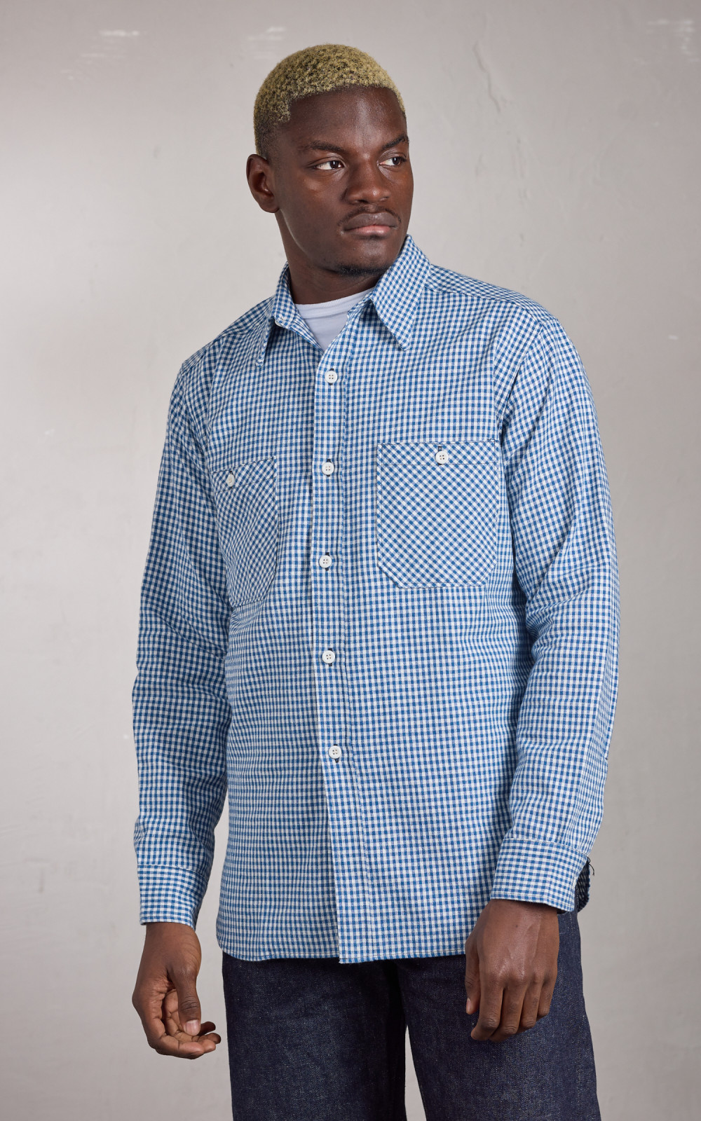Warehouse & Co. Lot 3055 Long Sleeve Check Work Shirt Blue | Cultizm