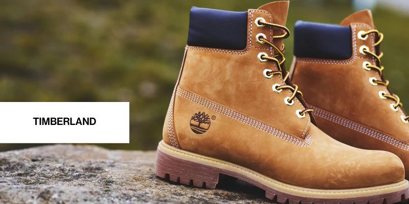 media/image/TIMBS1.webp